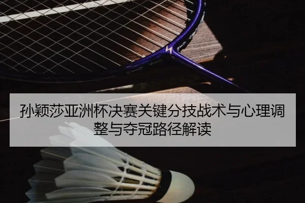 孙颖莎亚洲杯决赛关键分技战术与心理调整与夺冠路径解读
